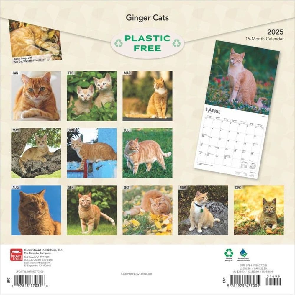 Ginger Cats 2025 Wall Calendar First Alternate Image