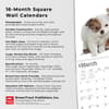 image Chihuahua Puppies 2024 Wall Calendar Fourth Alternate Image width=&quot;1000&quot; height=&quot;1000&quot;