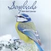 image Songbirds Photo 2024 Mini Wall Calendar Main Product  Image width=&quot;1000&quot; height=&quot;1000&quot;