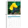 image Butterflies Photo 2027 Wall Calendar