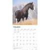 image Clydesdales 2025 Wall Calendar