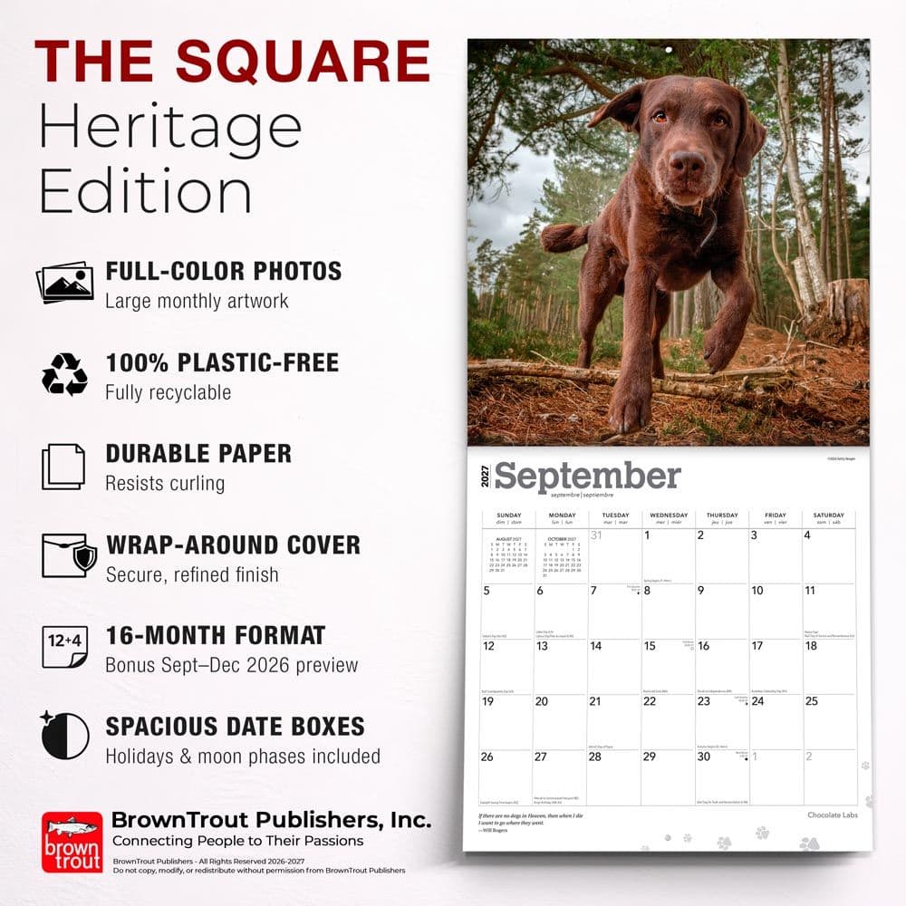 Chocolate Lab Retriever 2027 Wall Calendar Sixth Alternate Image