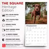 image Chocolate Lab Retriever 2027 Wall Calendar Sixth Alternate Image