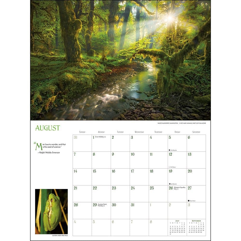 Into The Woods Deluxe 2022 Wall Calendar - Calendars.com
