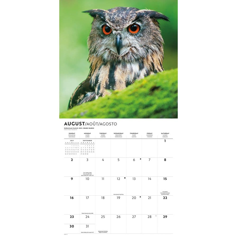 Owls 2026 Wall Calendar Third Alternate Image
