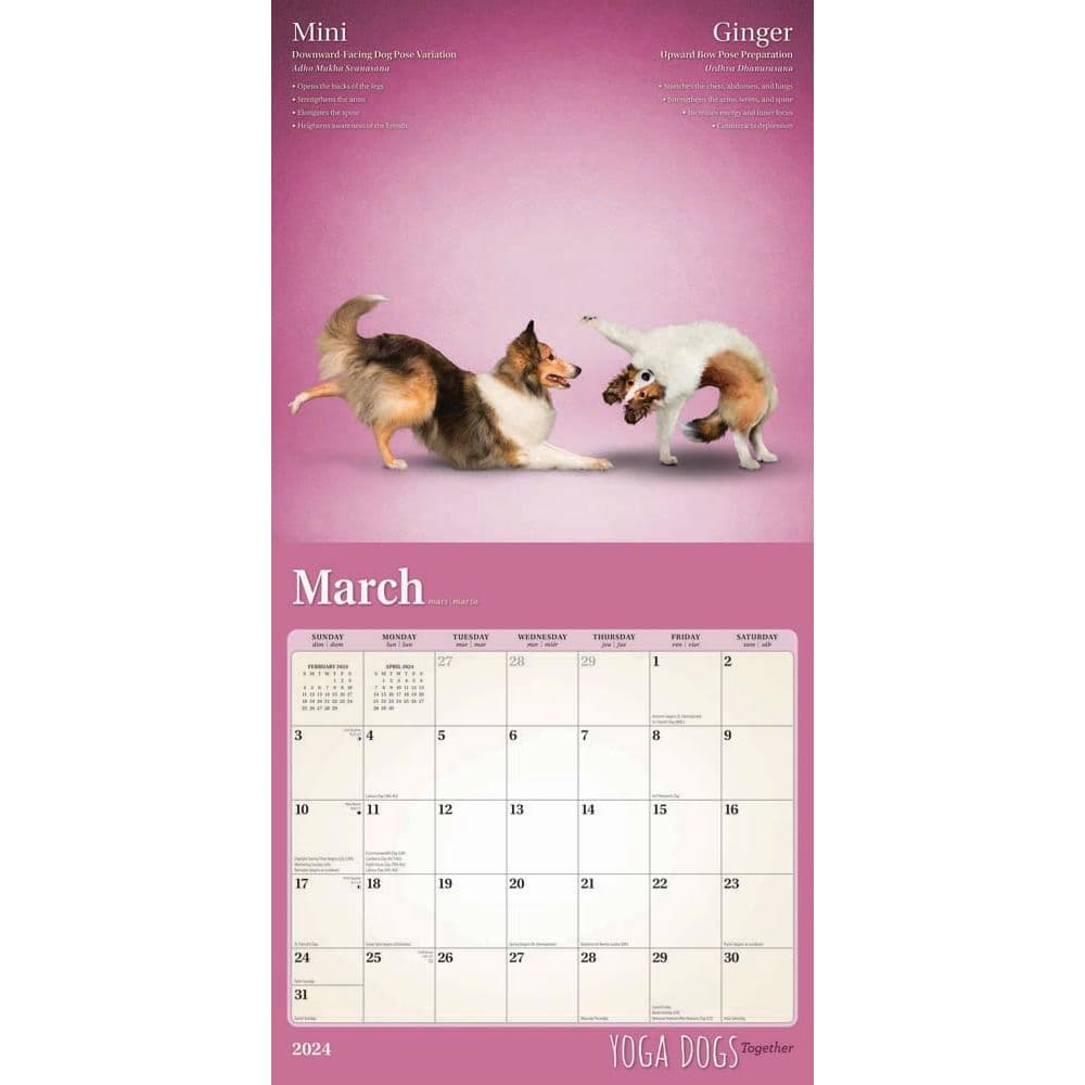 Yoga Dogs Together 2024 Wall Calendar