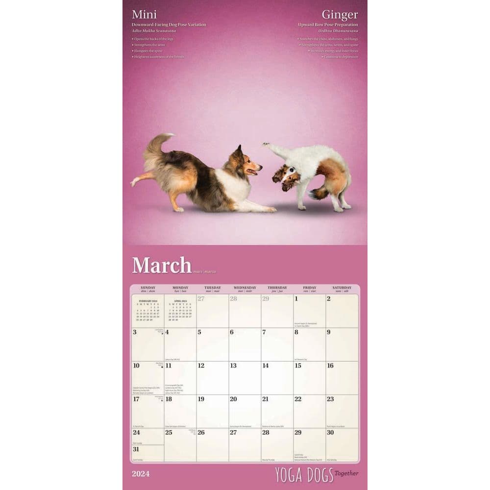 Yoga Dogs Together 2024 Wall Calendar Calendars Com   75b9dede 4f28 4a31 B151 C94507dee03d