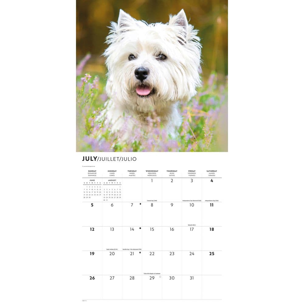 Just Westies 2026 Wall Calendar Fourth Alternate Image