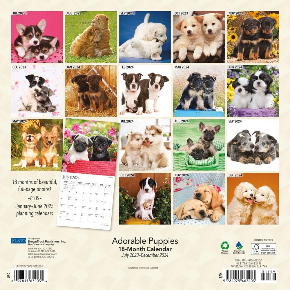 Puppies Adorable 2024 Wall Calendar Alternate Image 1