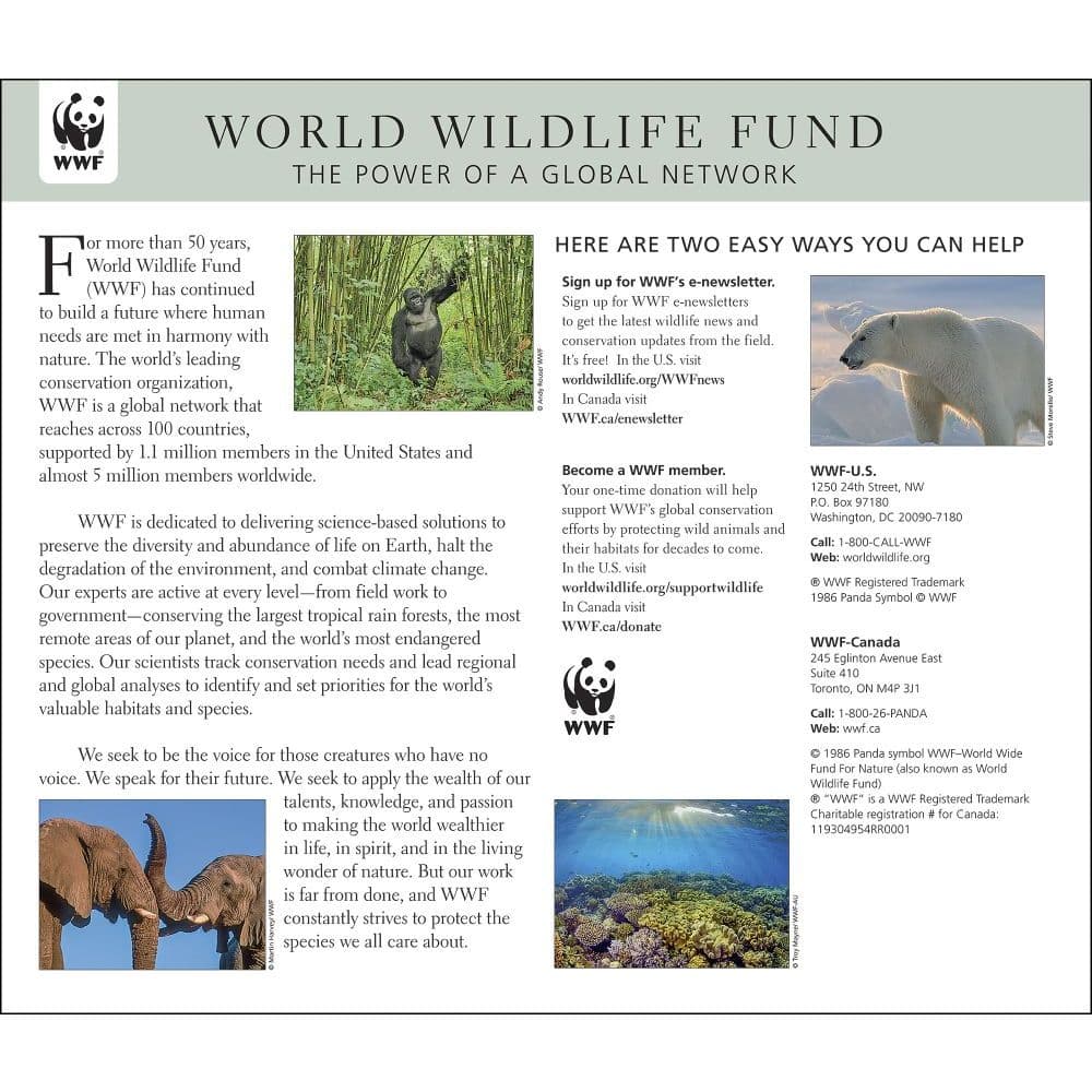 Elephants Wwf 2022 Wall Calendar - Calendars.com