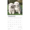 image Samoyeds 2025 Wall Calendar