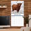 image Highland Cows Photo 2026 Wall Calendar