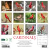 image Cardinals 2025 Wall Calendar