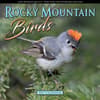 image Rocky Mountain Birds 2027 Wall Calendar Main Product Image