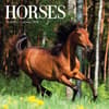 image Horses 2024 Mini Wall Calendar Main Image