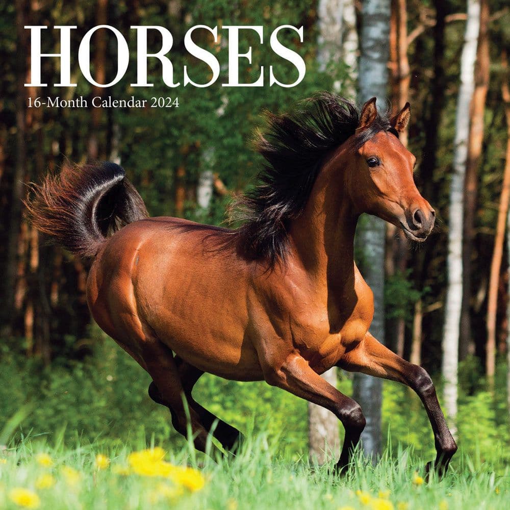 Horses 2024 Mini Wall Calendar Main Image