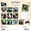 image Pandas 2027 Wall Calendar First Alternate Image