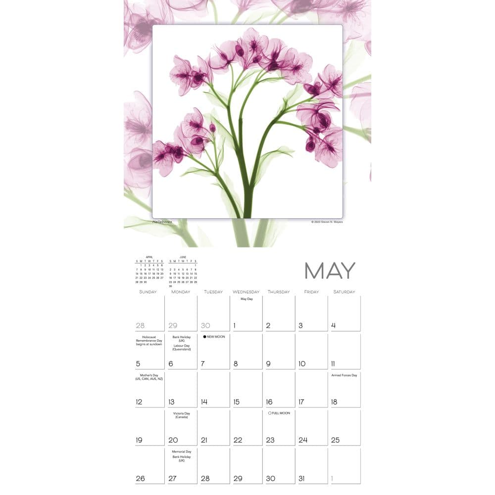 Flower Spirits 2024 Mini Wall Calendar