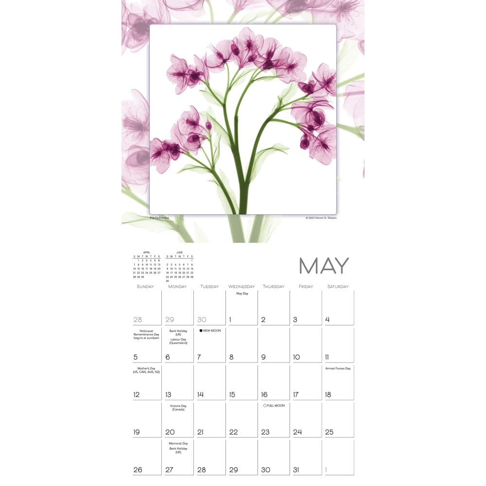 Flower Spirits 2024 Mini Wall Calendar Alternate Image 3