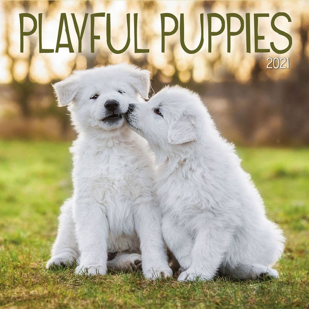 Playful Puppies Wall Calendar