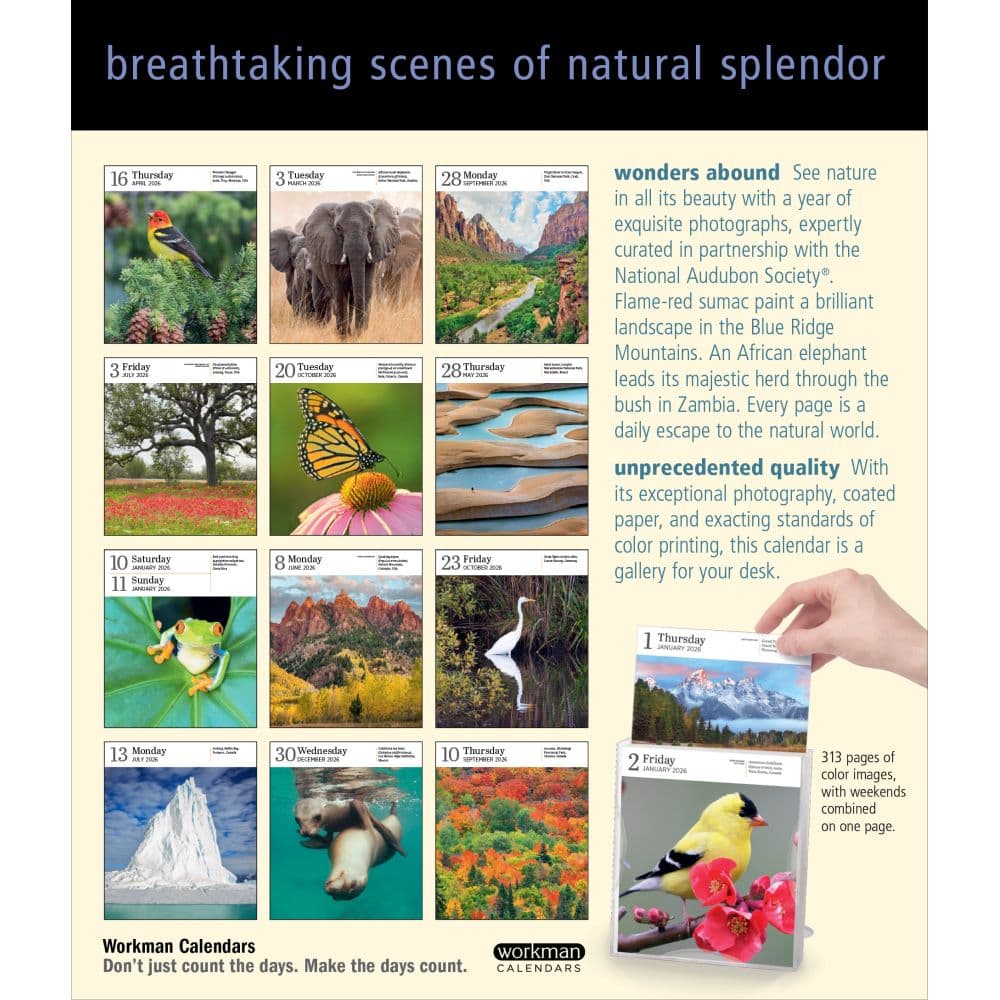 Audubon Nature Gallery 2026 Desk Calendar First Alternate Image