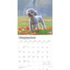 image Poodles 2025 Wall Calendar Third Alternate Image width=&quot;1000&quot; height=&quot;1000&quot;