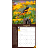 image Audubon Garden Birds 2025 Wall Calendar Second Alternate Image width="1000" height="1000"