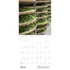 image Tea 2025 Wall Calendar Second Alternate Image width="1000" height="1000"