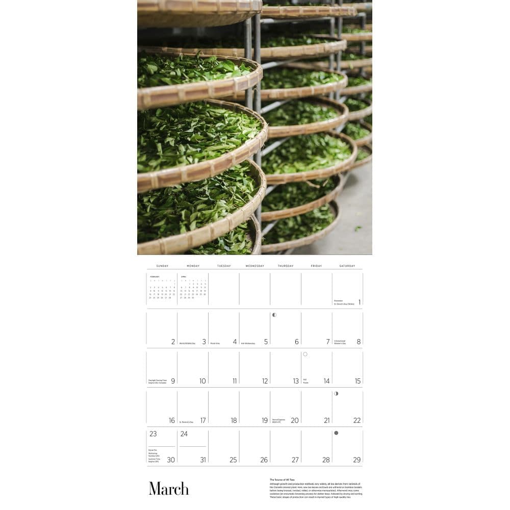 Tea 2025 Wall Calendar Second Alternate Image width="1000" height="1000"