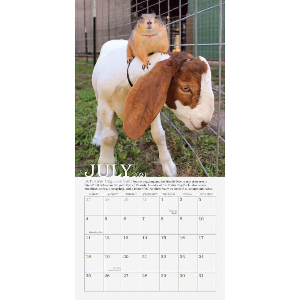 Unlikely Friendships Mini Wall Calendar