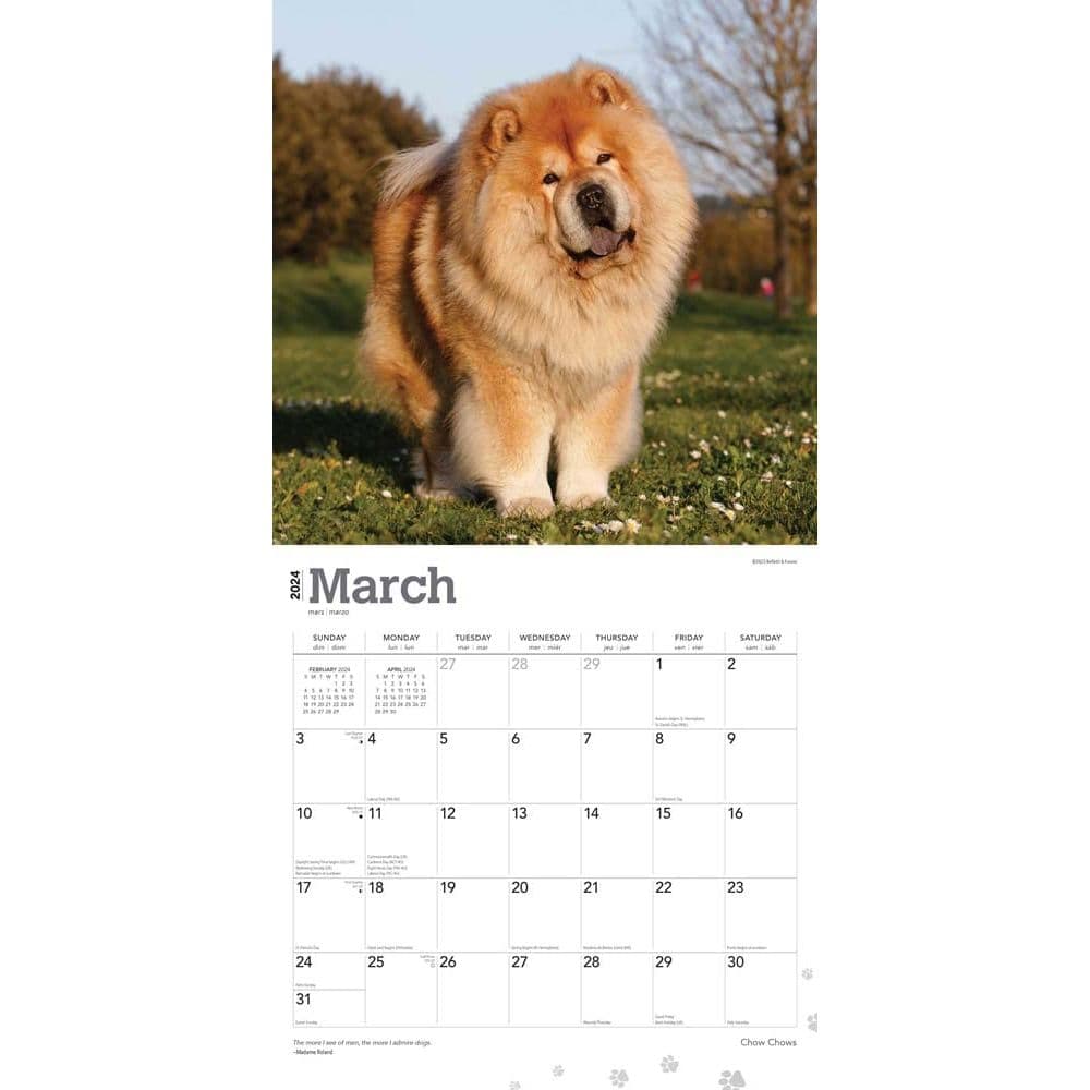 Chow Chows 2024 Wall Calendar Calendars Com   7637c287 Afb3 4b65 Ad21 E5d955a74367