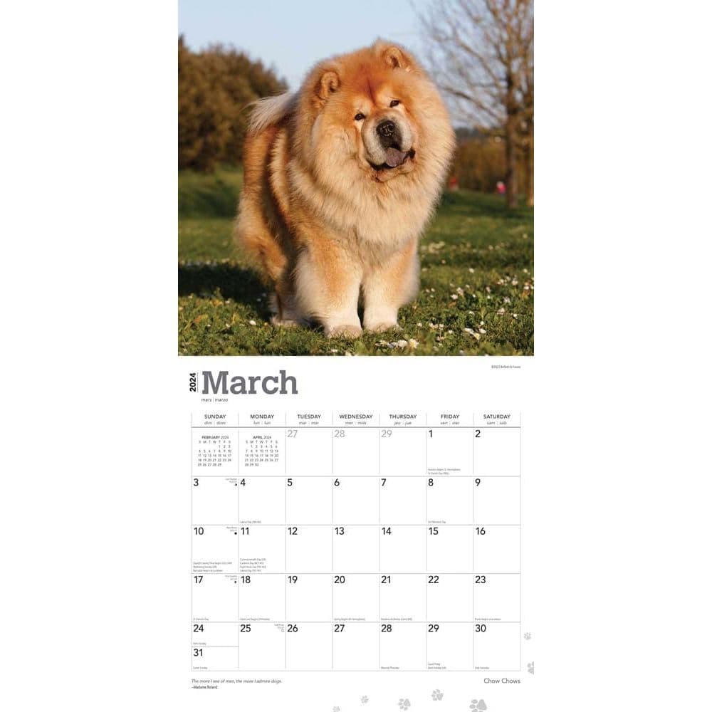 Chow Chows 2024 Wall Calendar Second Alternate Image width=&quot;1000&quot; height=&quot;1000&quot;