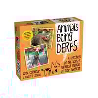 image Animals Being Derps 2026 Desk Calendar Main Image