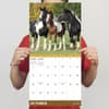 image Horses 2024 Wall Calendar Fifth Alternate Image width="1000" height="1000"