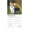 image Welsh Corgi 2025 Mini Wall Calendar