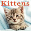 image Kittens 2026 Wall Calendar Main Product Image