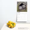 image Owls 2024 Wall Calendar