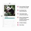 image Bears 2025 Wall Calendar Fourth Alternate Image width=&quot;1000&quot; height=&quot;1000&quot;