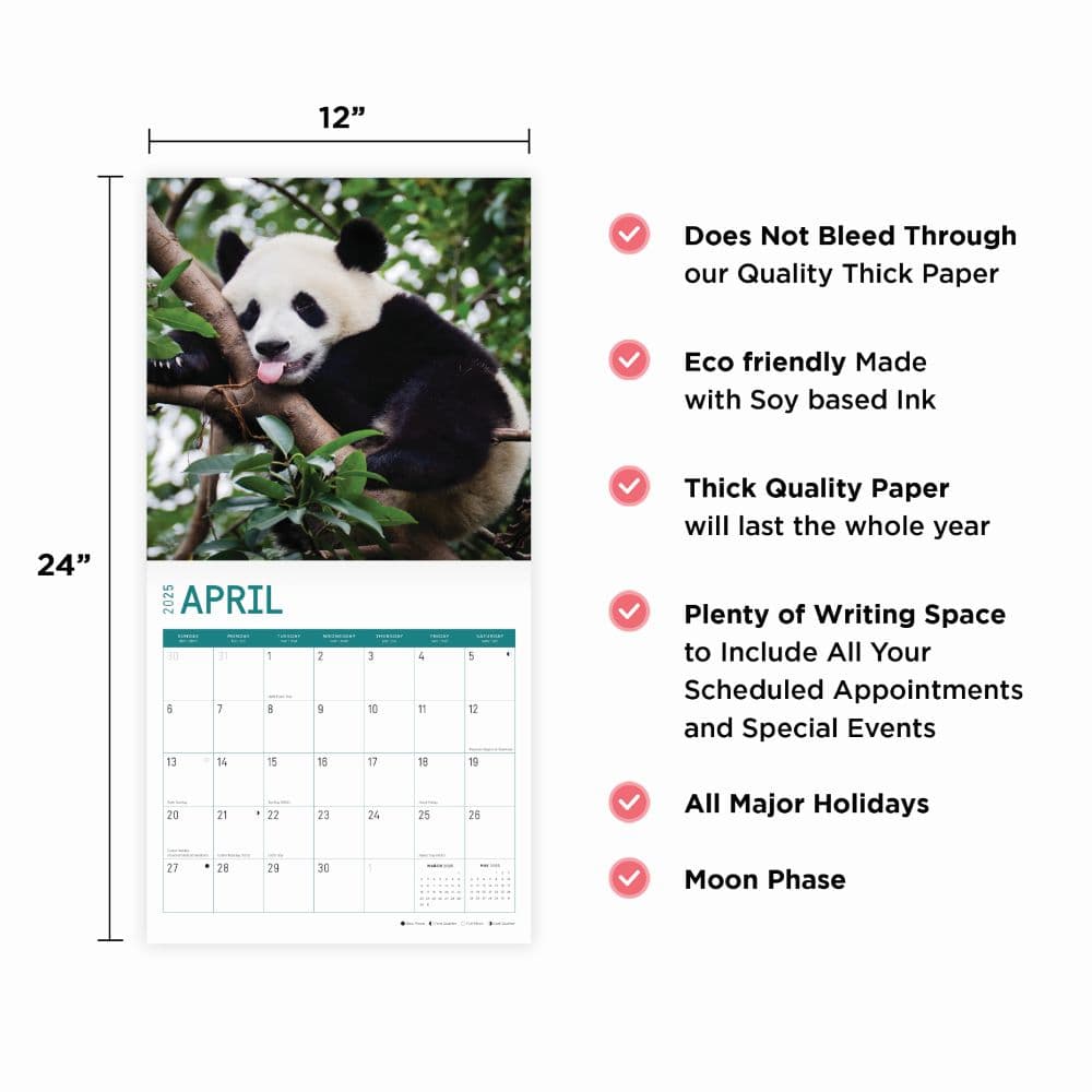 Bears 2025 Wall Calendar Fourth Alternate Image width=&quot;1000&quot; height=&quot;1000&quot;