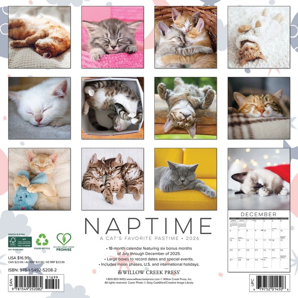 Naptime Cats Special Value 2026 Wall Calendar First Alternate Image