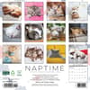 image Naptime Cats Special Value 2026 Wall Calendar First Alternate Image