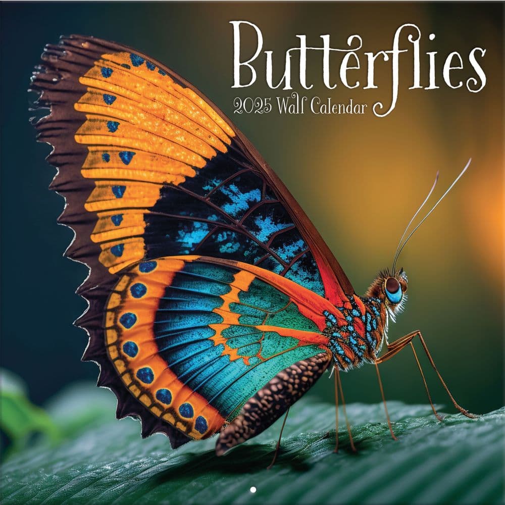 Butterflies Photo 2025 Wall Calendar