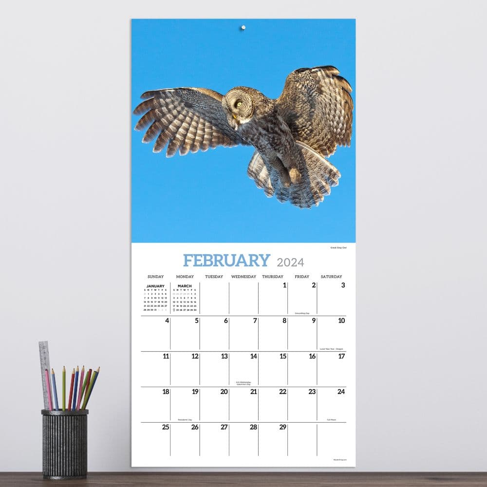 Owls 2025 Wall Calendar