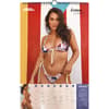 image Sports Illustrated Swimsuit 2024 Poster Wall Calendar Alt3