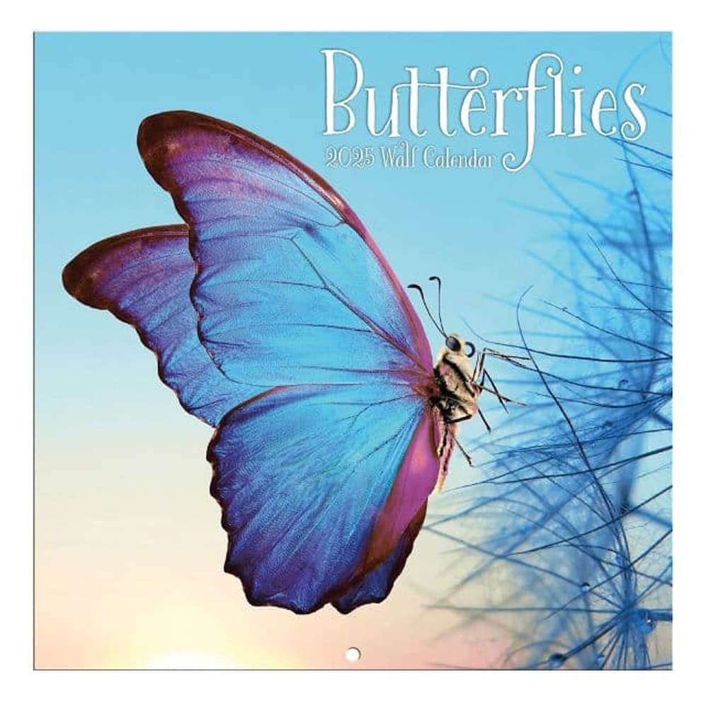 Butterflies 2025 Mini Wall Calendar