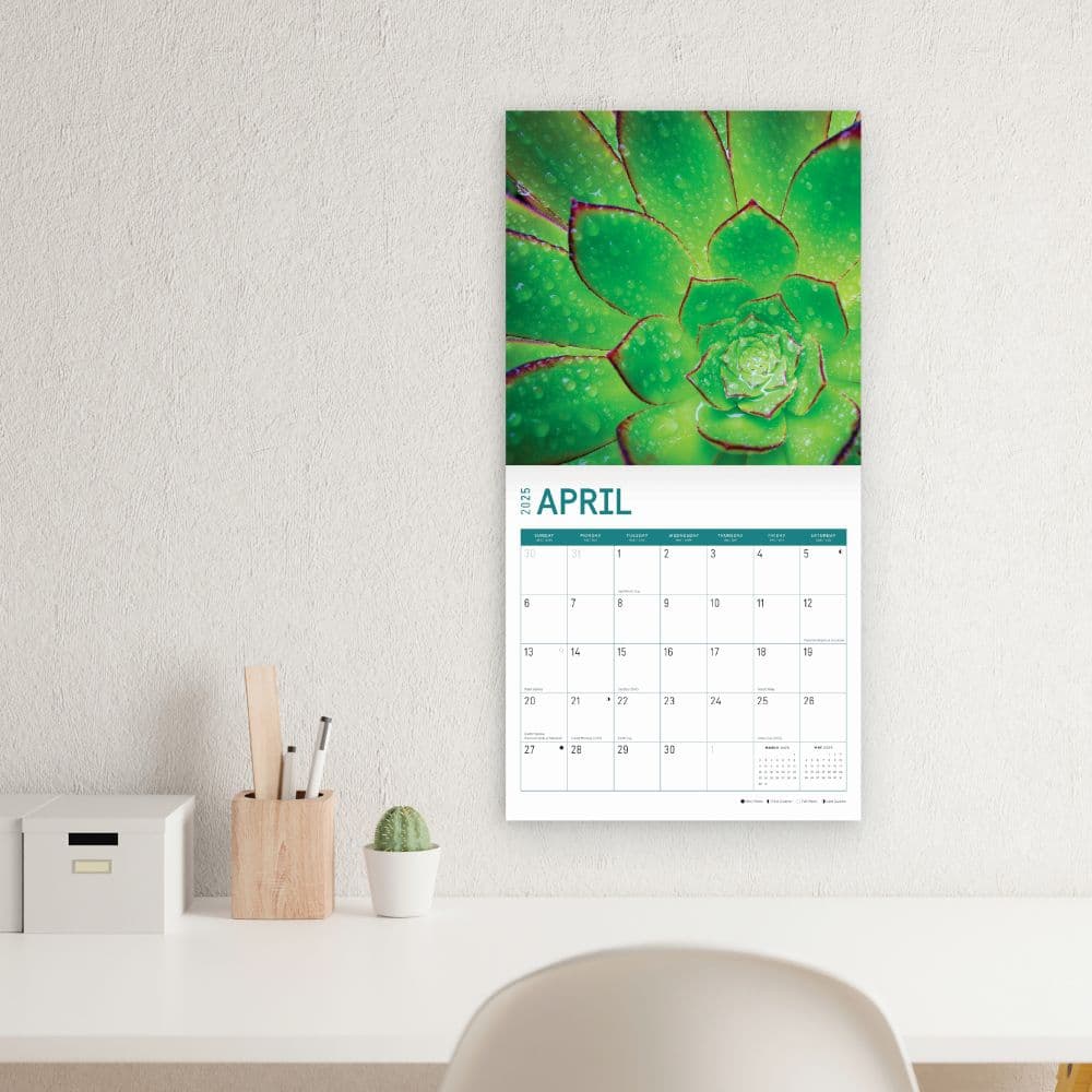 Succulents 2025 Wall Calendar Fifth Alternate Image