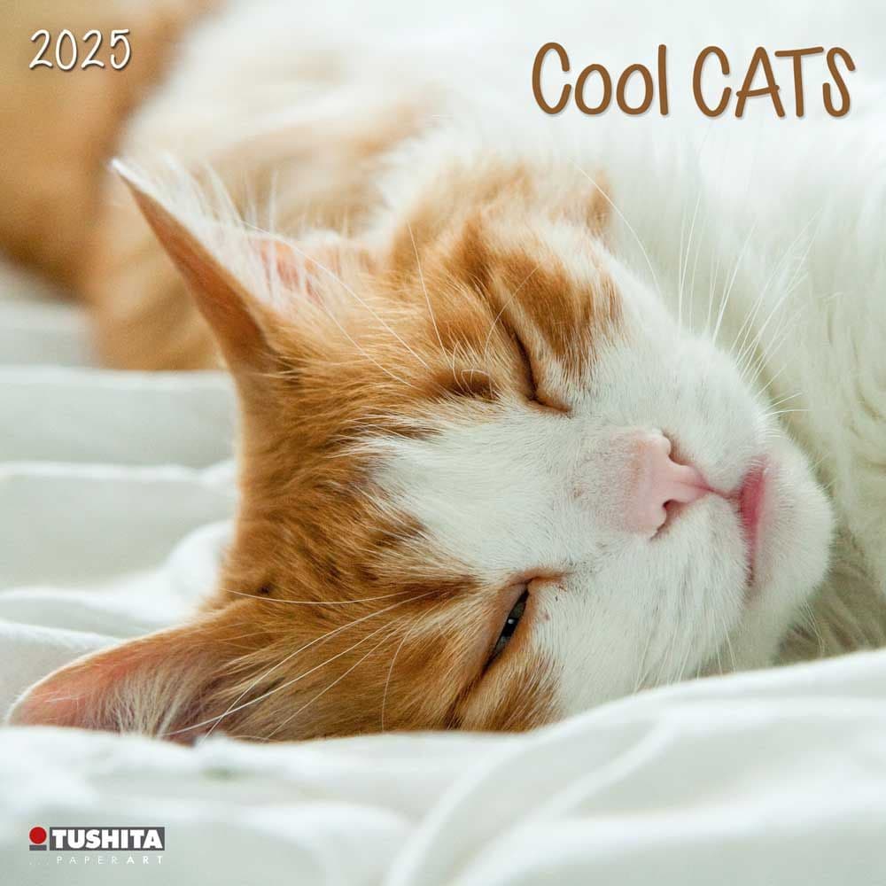 Cool Cats 2025 Wall Calendar Main Image