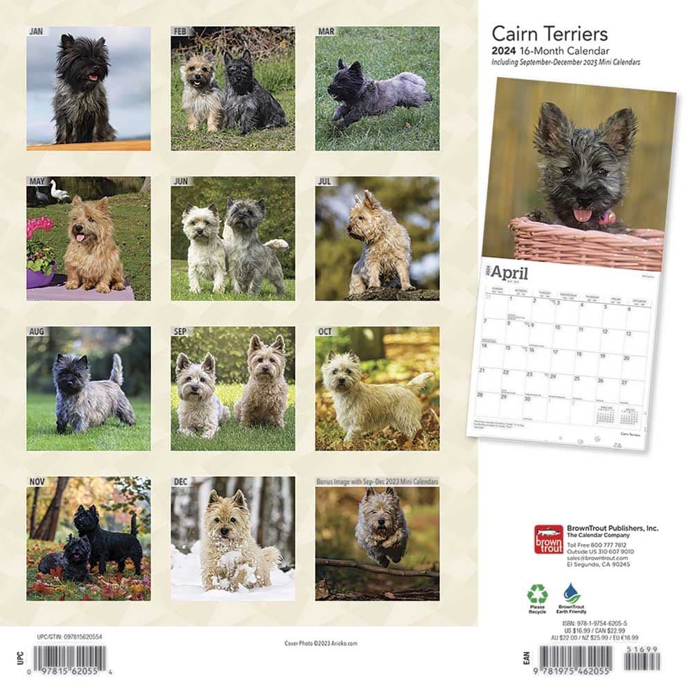 Cairn Terriers 2024 Wall Calendar