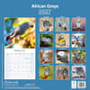 image African Greys 2027 Wall Calendar First Alternate Image