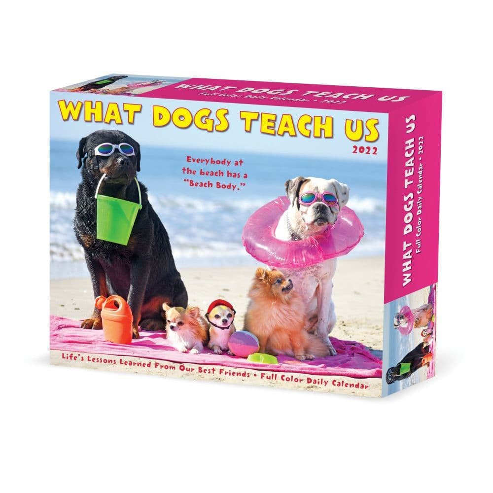 What Dogs Teach Us 2022 Desk Calendar